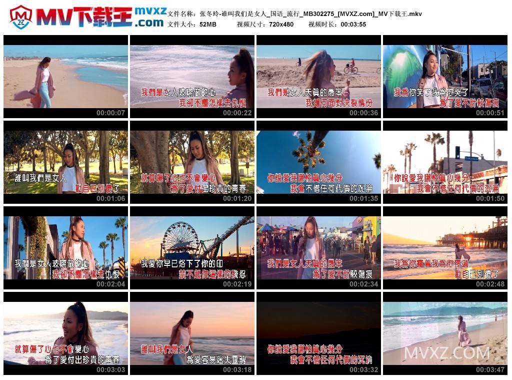 张冬玲-谁叫我们是女人_国语_流行_MB302275
